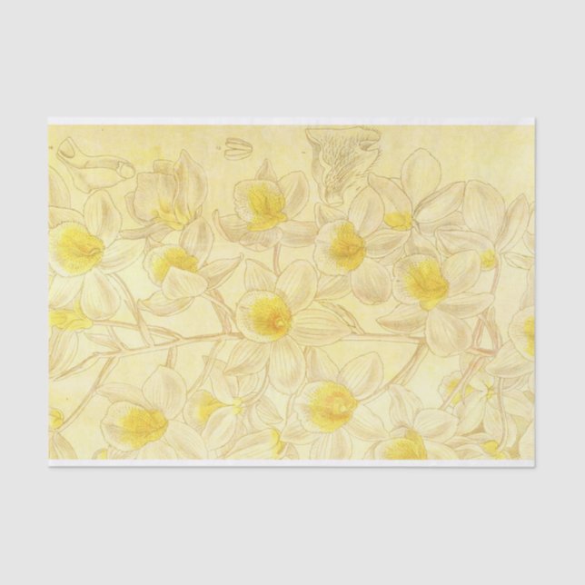 Antique Flowers Drawing with Yellow Decoupage  Tissue Paper (Front)