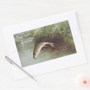 Antique Fly Fishing Leaping Brook Trout Print Rectangular Sticker