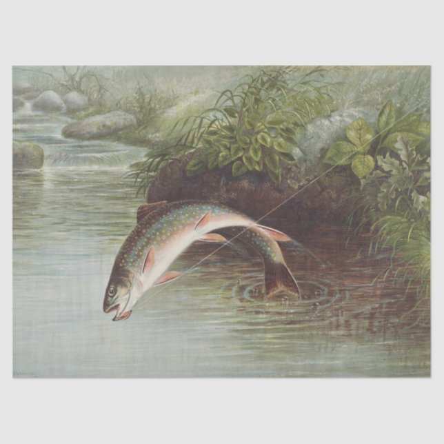 Antique Fly Fishing Leaping Brook Trout Print Tissue Paper (Front)