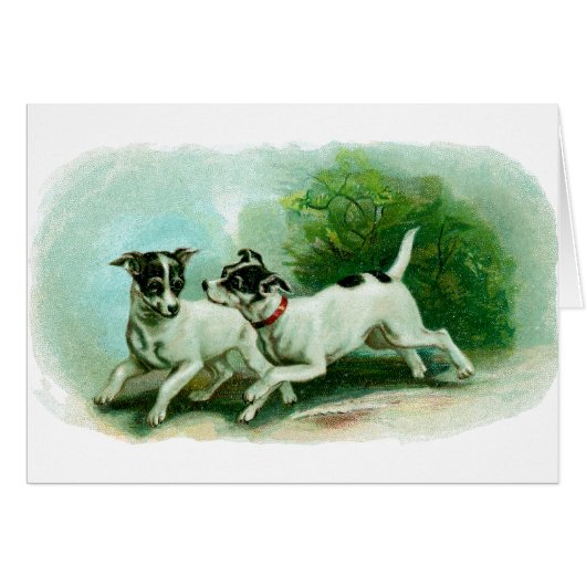 Antique Fox Terrier Illustration (Front Horizontal)