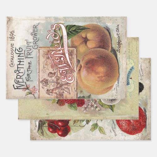 ANTIQUE FRUIT GROWERS DECOUPAGE PRINTS  WRAPPING PAPER SHEETS