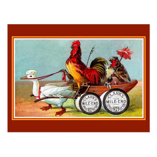 antique_funny_chickens_duck_spool_cotton_postcard-rb06c82c3a3774fb1843a0e51e0555b5e_vgbaq_8byvr_512.jpg