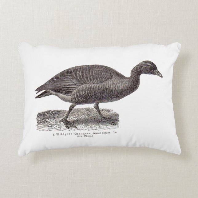 antique German avian print Wildgans wild goose Accent Pillow (Front)