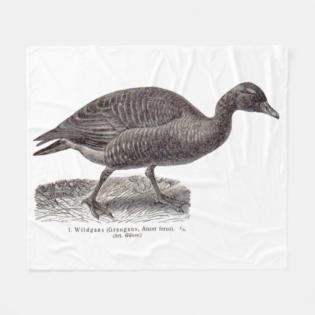 antique German avian print Wildgans wild goose Fleece Blanket (Front (Horizontal))