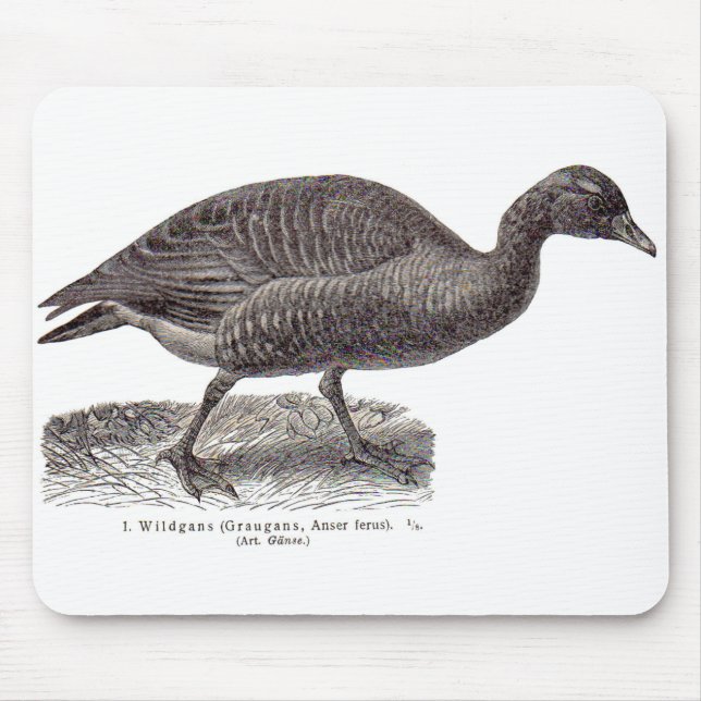 antique German avian print Wildgans wild goose Mouse Pad (Front)