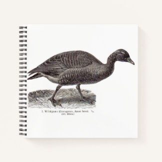 antique German avian print Wildgans wild goose Notebook