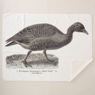 antique German avian print Wildgans wild goose Sherpa Blanket