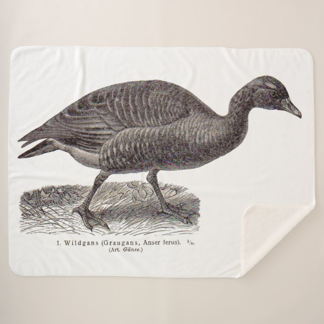 antique German avian print Wildgans wild goose Sherpa Blanket (Front (Horizontal))
