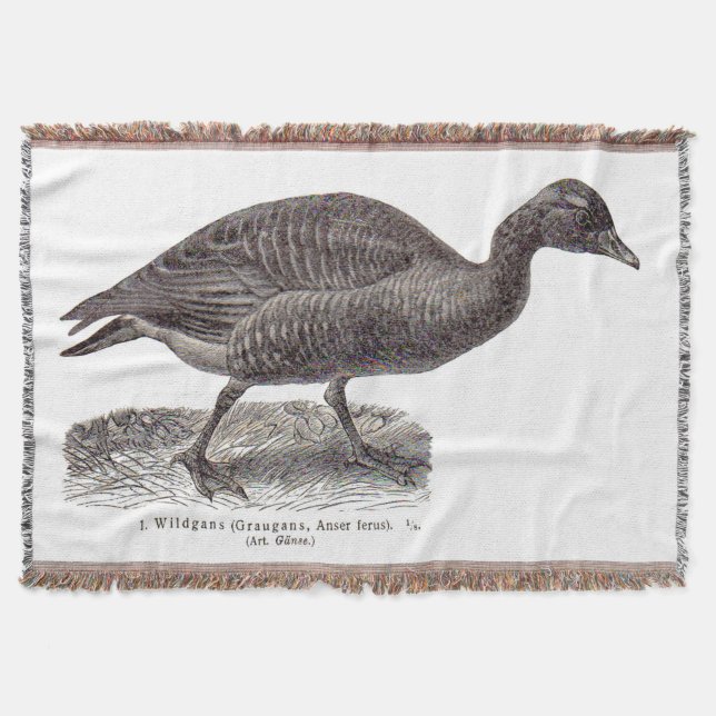 antique German avian print Wildgans wild goose Throw Blanket (Front)
