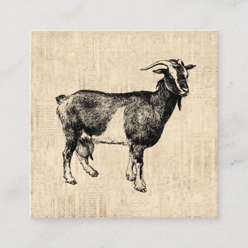 Antique Goat Illustration with Script Background Enclosure Card