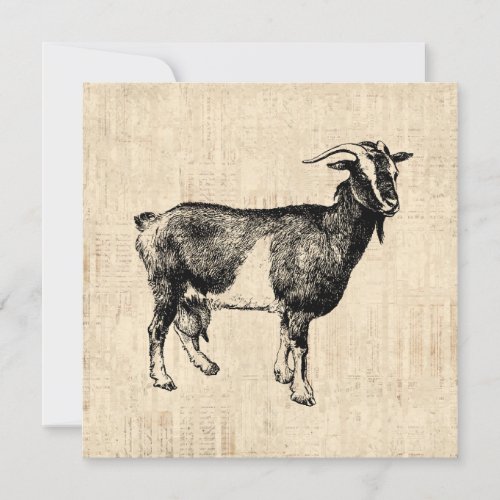 Antique Goat Illustration with Script Background Invitation