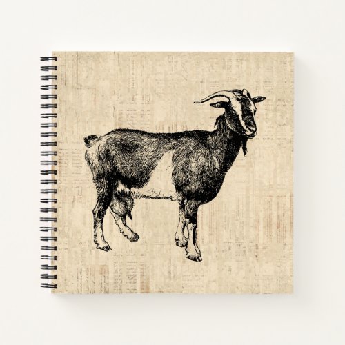 Antique Goat Illustration with Script Background Notebook