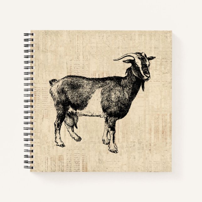 Antique Goat Illustration with Script Background Notebook (Front)