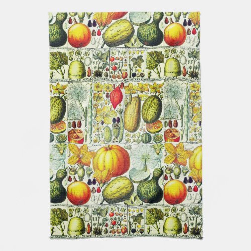 Antique Gourds And Pumpkins Botanical Print Kitchen Towel
