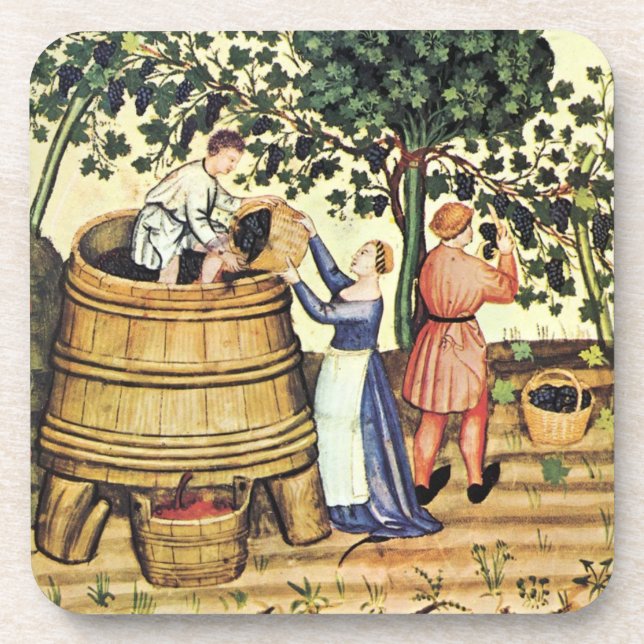 ANTIQUE GRAPE VINEYARD HARVEST DRINK COASTER (Front)