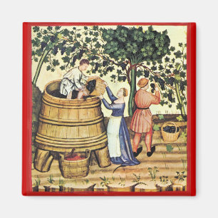 ANTIQUE GRAPE VINEYARD HARVEST MAGNET
