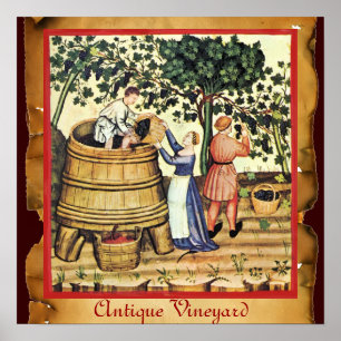 ANTIQUE GRAPE VINEYARD HARVEST PARCHMENT POSTER