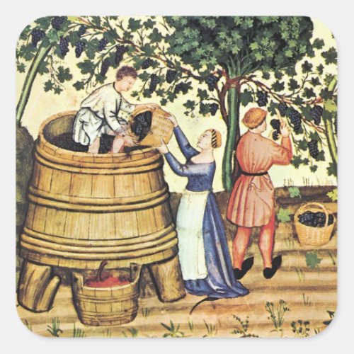 ANTIQUE GRAPE VINEYARD HARVEST SQUARE STICKER