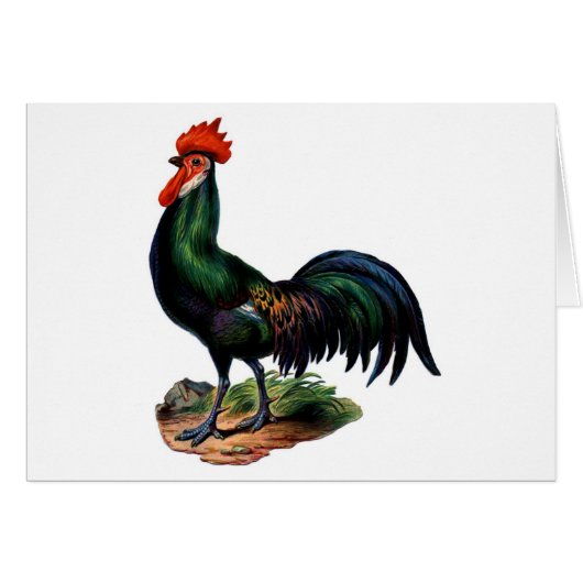 Antique Green Feathers Rooster (Front Horizontal)