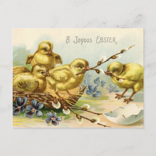 Antique Happy Easter chicks egg hatch Holiday Postcard