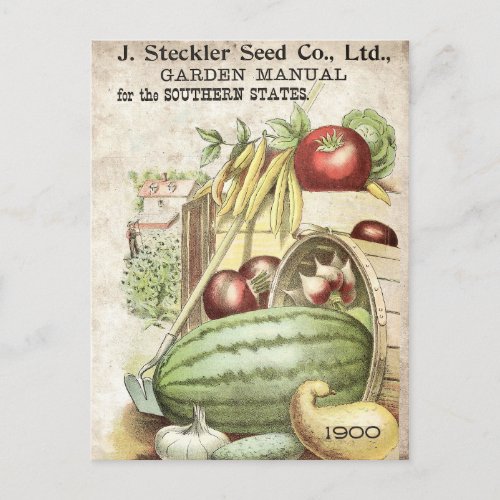 ANTIQUE HARVEST LITHOGRAPH ON 1900 GARDEN MANUAL POSTCARD