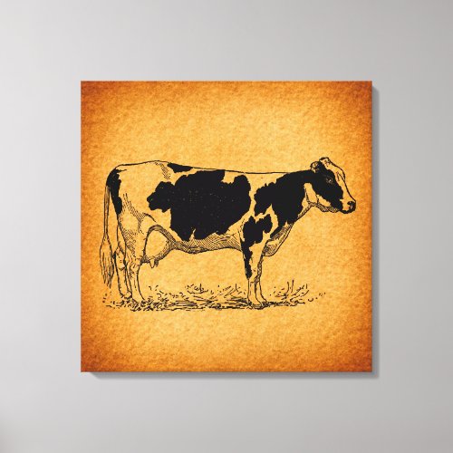 Antique Holstein Cow Farm Animal Illustration Canvas Print