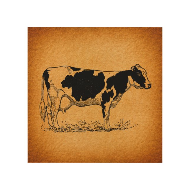 Antique Holstein Cow Farm Animal Illustration Wood Wall Art (Front)