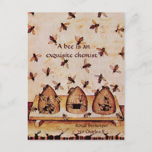 ANTIQUE HONEY BEE BEEKEEPER ,BEEKEEPING POSTCARD