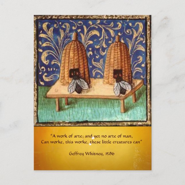 ANTIQUE HONEY BEE BEEKEEPER ,BEEKEEPING POSTCARD (Front)