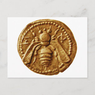 ANTIQUE HONEY BEE COIN POSTCARD