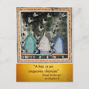 ANTIQUE HONEY BEES BEE HIVES BEEKEEPER ,BEEKEEPING POSTCARD