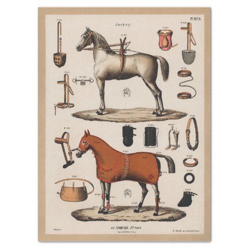 ANTIQUE HORSE RIDING CATALOGUE TISSUE PAPER