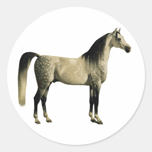 Antique Horses - Arabian Classic Round Sticker (Front)