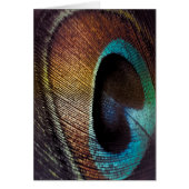 Antique Hues Peacock Feather Eye (Front)