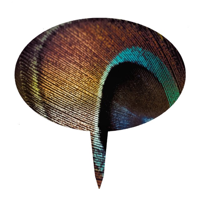 Antique Hues Peacock Feather Eye Cake Topper (Front)