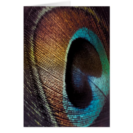 Antique Hues Peacock Feather Eye Cards (Front)