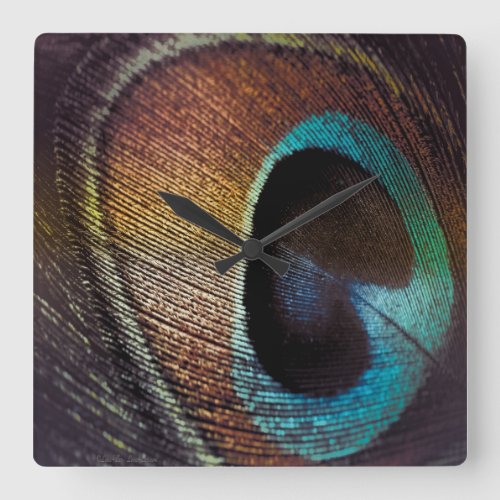 Antique Hues Peacock Feather Eye Square Wall Clock