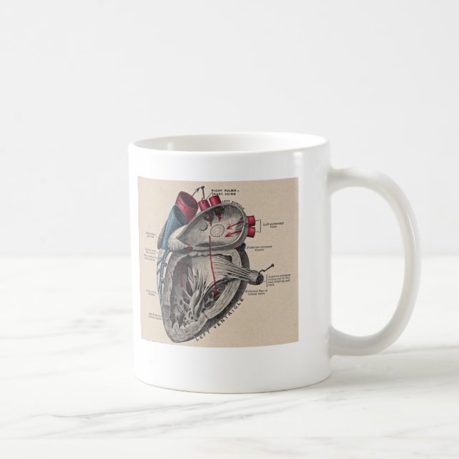 Antique human heart anatomy diagram coffee mug (Right)