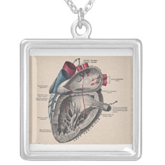 Antique human heart anatomy diagram silver plated necklace