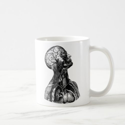Antique Human Upper Torso Anatomical Drawing Mug