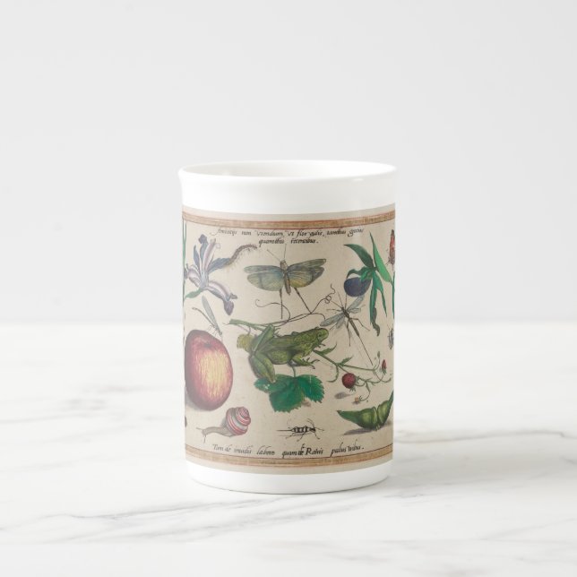 Antique Insects, Flowers, fruits Hoefnagel Bone China Mug (Front)