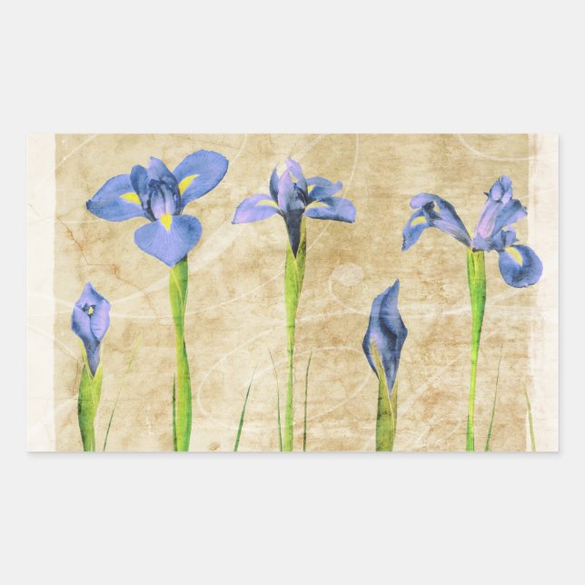 Antique Irises - Vintage Iris Background Customize Rectangular Sticker (Front)