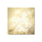 Antique Ivory Blossoms Canvas Art Print