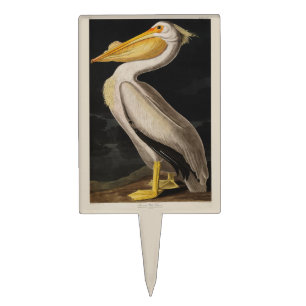 Antique John James Audubon White Pelican Coastal Cake Topper