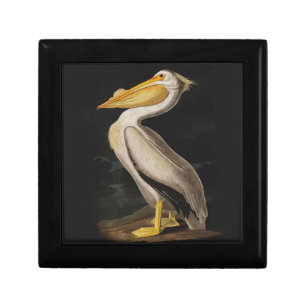 Antique John James Audubon White Pelican Coastal Jewelry Box