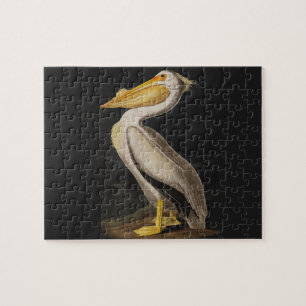 Antique John James Audubon White Pelican Coastal Jigsaw Puzzle