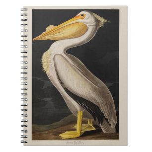 Antique John James Audubon White Pelican Coastal Notebook