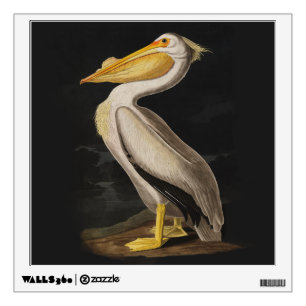 Antique John James Audubon White Pelican Coastal Wall Sticker