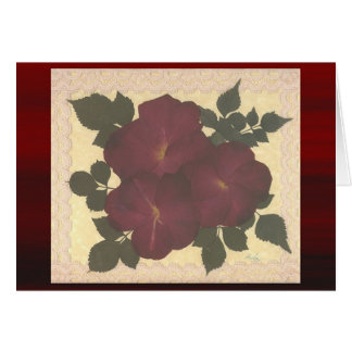 Antique Lace and Roses Cards