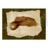 Antique Leather Powder Flask (Front Horizontal)